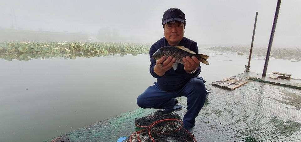 아산 안골지의 조황정보입니다 (유료터정보 - 유료터점주조황)