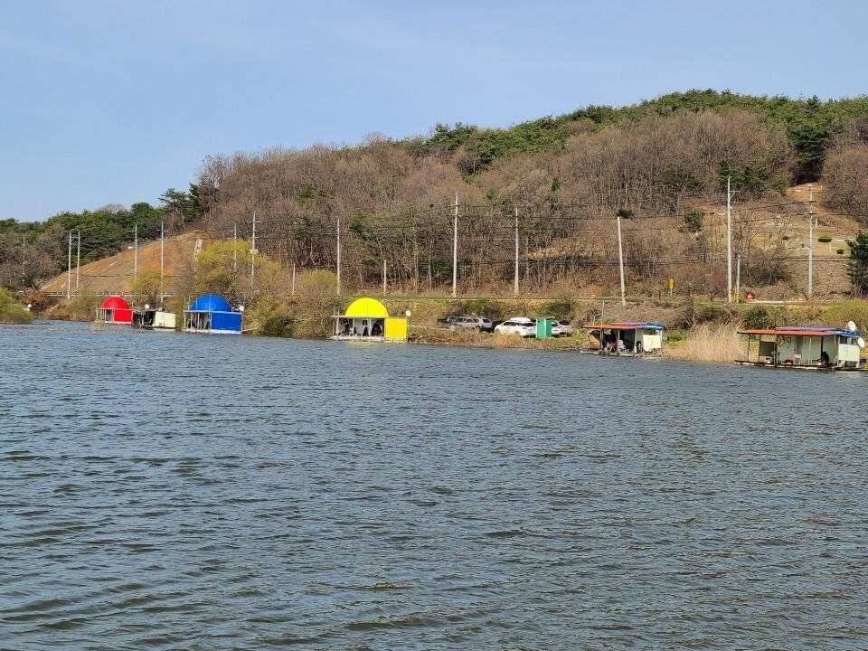 당진 가교리 낚시터 3월 31일 조황입니다 (유료터정보 - 유료터점주조황)