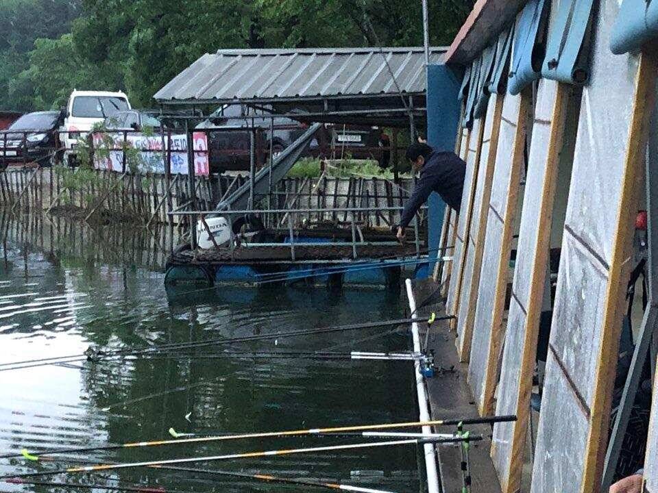 양평낚시터 힐링 수곡낚시터 주말 호조황도 섞여나오면서 괜찬았습니다 (유료터정보 - 유료터점주조황)