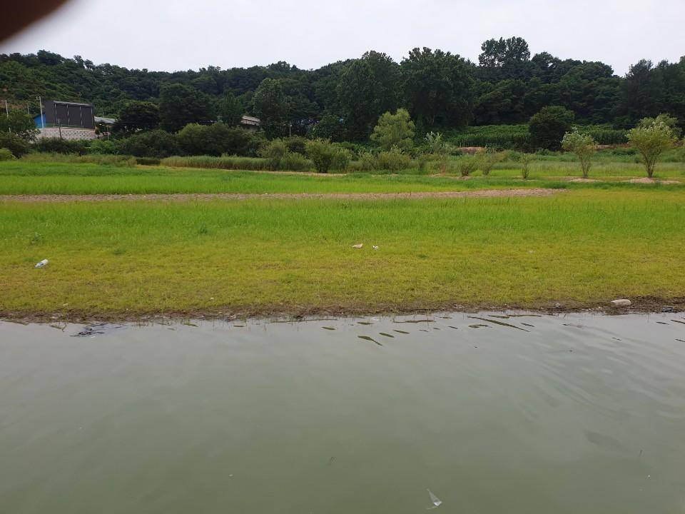 고삼지 양촌좌대 시즌 상황입니다 (유료터정보 - 유료터점주조황)