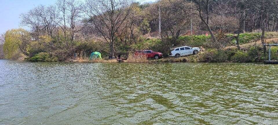 당진 가교리 낚시터 4월 7일 조황입니다 (유료터정보 - 유료터점주조황)