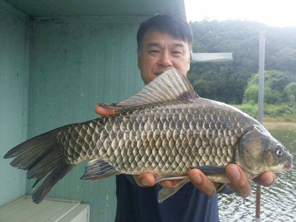 송전지서울좌대9월16일조황 (유료터정보 - 유료터점주조황)