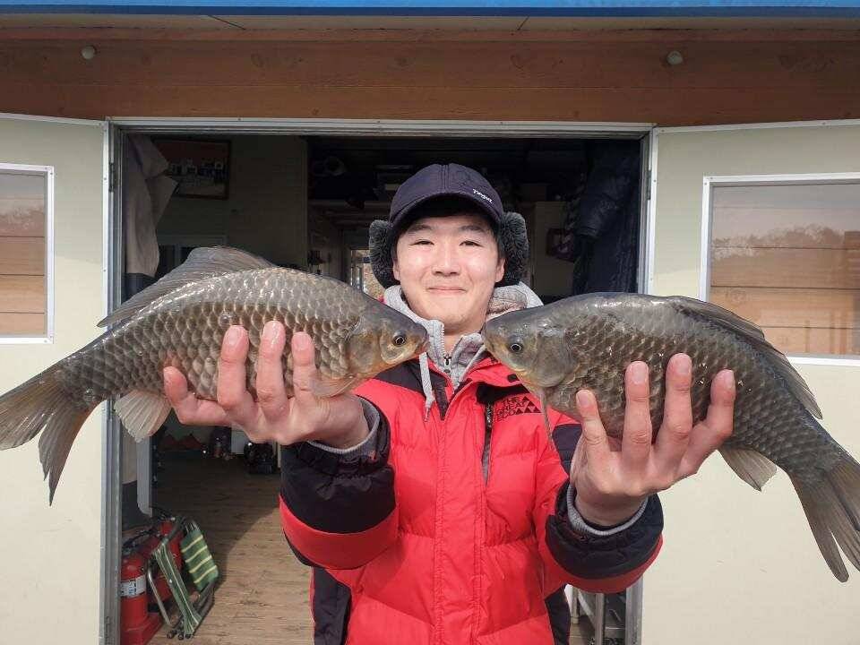 고삼지 양촌좌대 지렁이에 멋진붕어 (유료터정보 - 유료터점주조황)