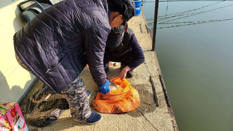 가교리 낚시터 3월 27일 조황입니다 (유료터정보 - 유료터점주조황)