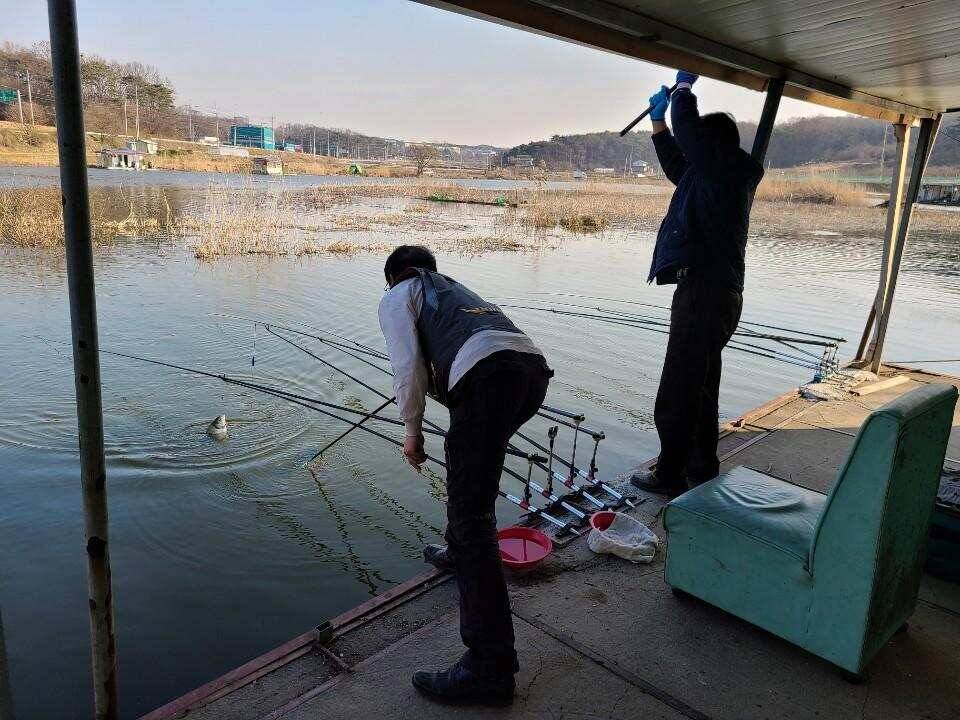 당진 가교리 낚시터 3월 30일 조황입니다 (유료터정보 - 유료터점주조황)