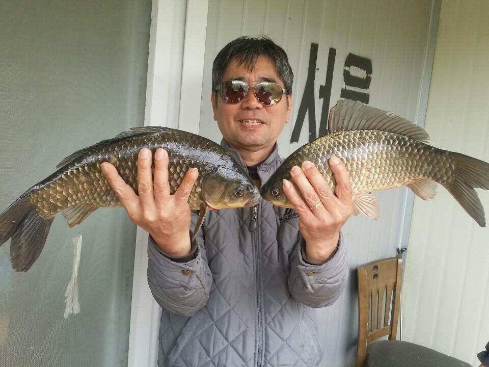 계속이어지는 4짜대물들 (유료터정보 - 유료터점주조황)