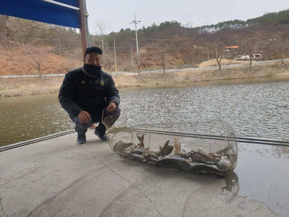 공주 고성낚시터 입니다 (유료터정보 - 유료터점주조황)