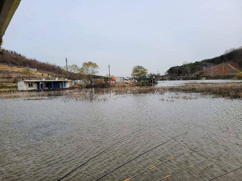당진 가교리 낚시터 3월 31일 조황입니다 (유료터정보 - 유료터점주조황)