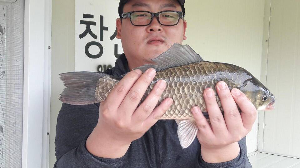 송전지 창신좌대 조황정보 (유료터정보 - 유료터점주조황)