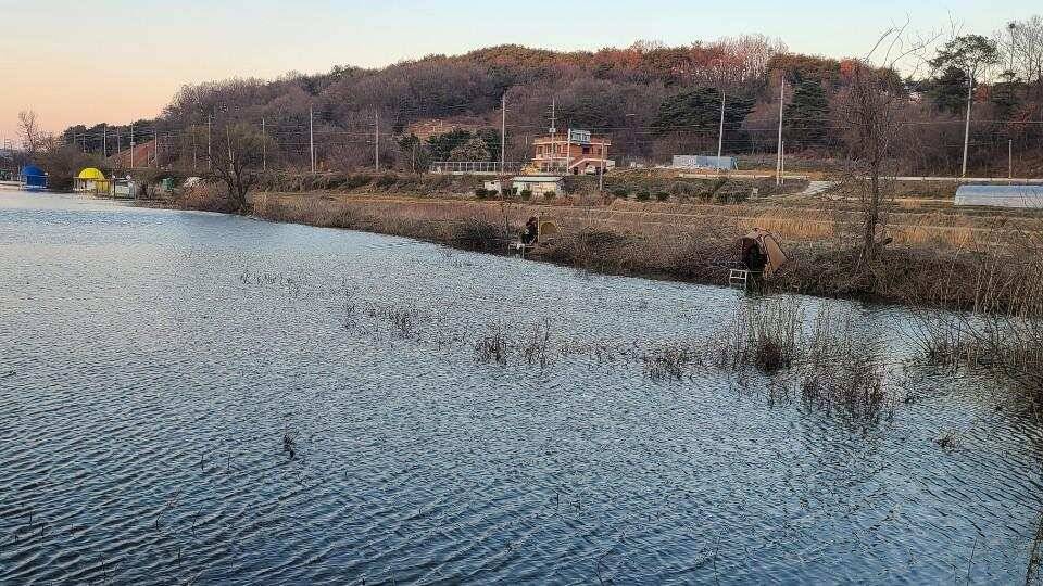 가교리 낚시터 3월 23일 조황입니다 (유료터정보 - 유료터점주조황)