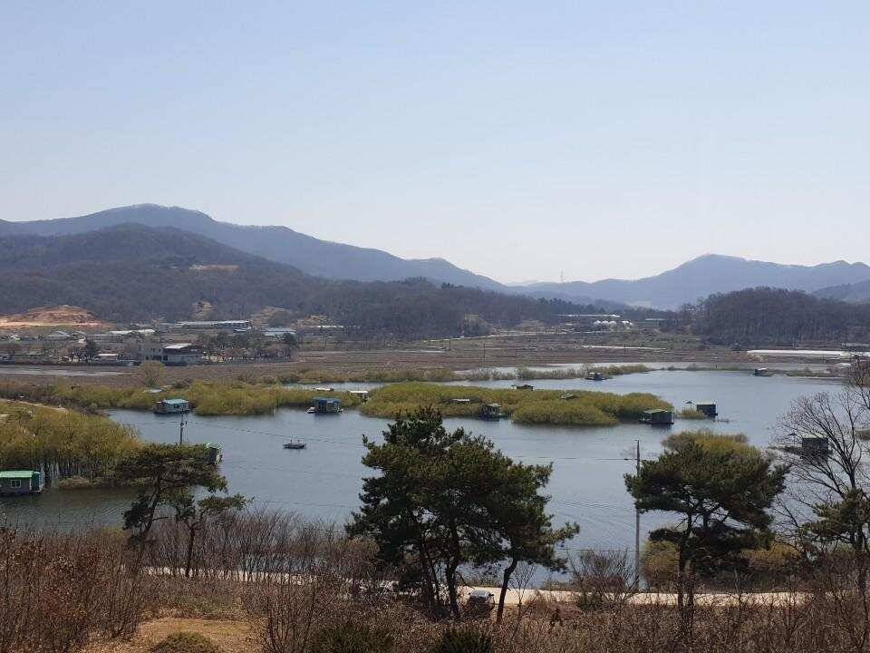 고삼지 상류권 포인트 절정은 언제 (유료터정보 - 유료터점주조황)