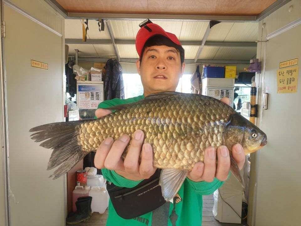 고삼지 안정적인 꾸준한 조항입니다 (유료터정보 - 유료터점주조황)