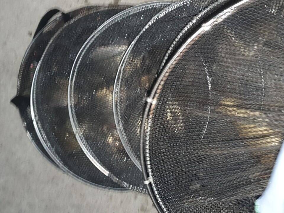 공주 고성낚시터 입니다 (유료터정보 - 유료터점주조황)