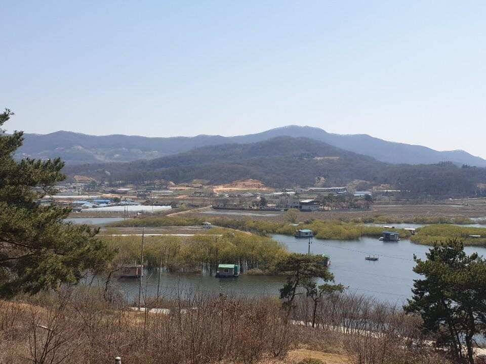 고삼지 상류권 포인트 절정은 언제 (유료터정보 - 유료터점주조황)