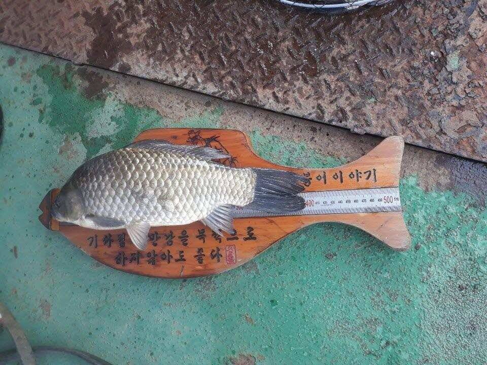 아산 안골지 4짜 소식입니다 (유료터정보 - 유료터점주조황)
