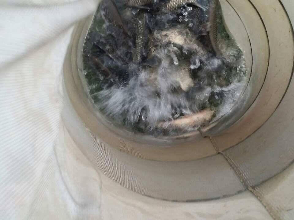 송전지서울좌대3월31일조황 (유료터정보 - 유료터점주조황)