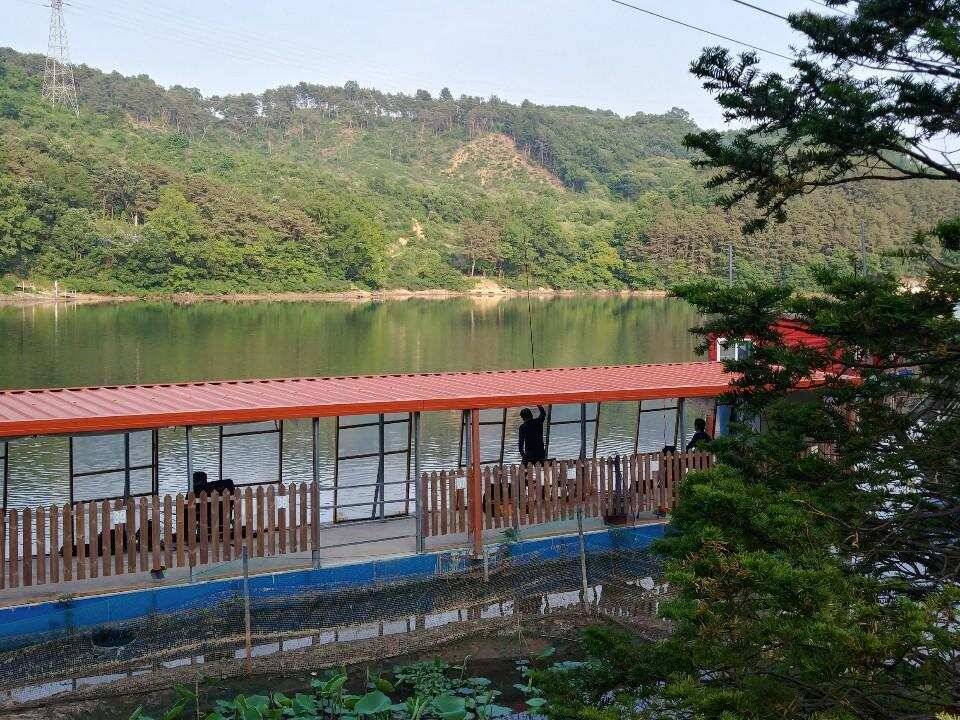 양평 힐링 수곡지 수곡낚시터 일요일 조황도 괜찬았습니다 (유료터정보 - 유료터점주조황)