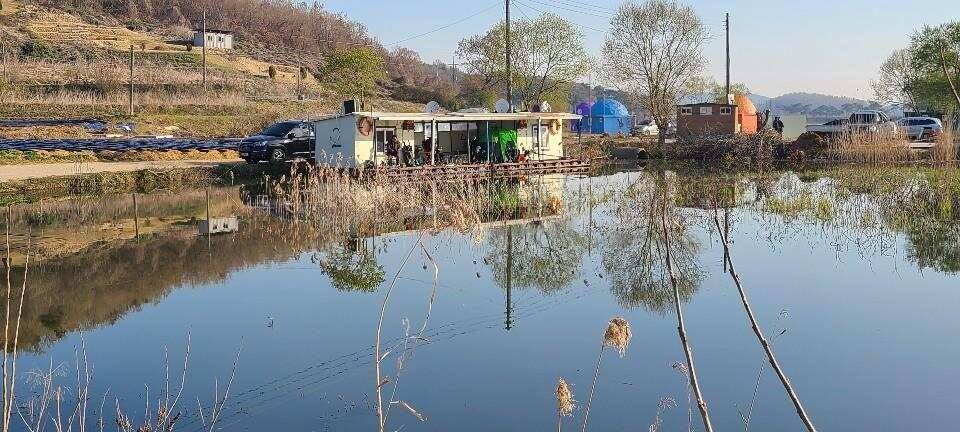 당진 가교리 낚시터 4월 17일 조황입니다 (유료터정보 - 유료터점주조황)