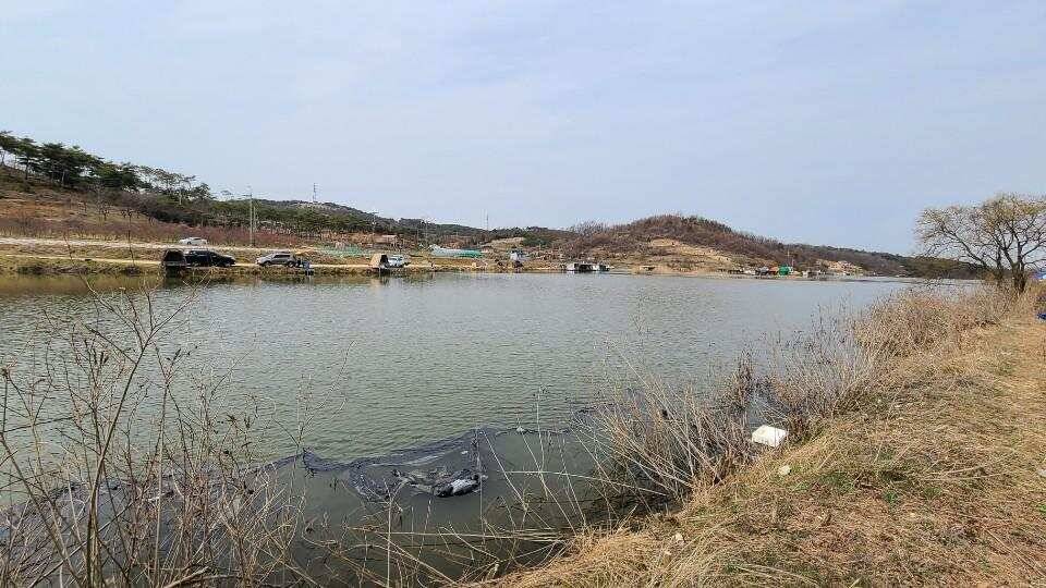 가교리 낚시터 3월 23일 조황입니다 (유료터정보 - 유료터점주조황)