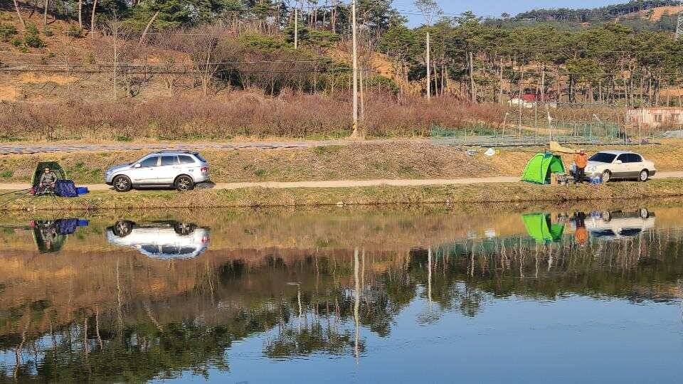 가교리 낚시터 3월 27일 조황입니다 (유료터정보 - 유료터점주조황)