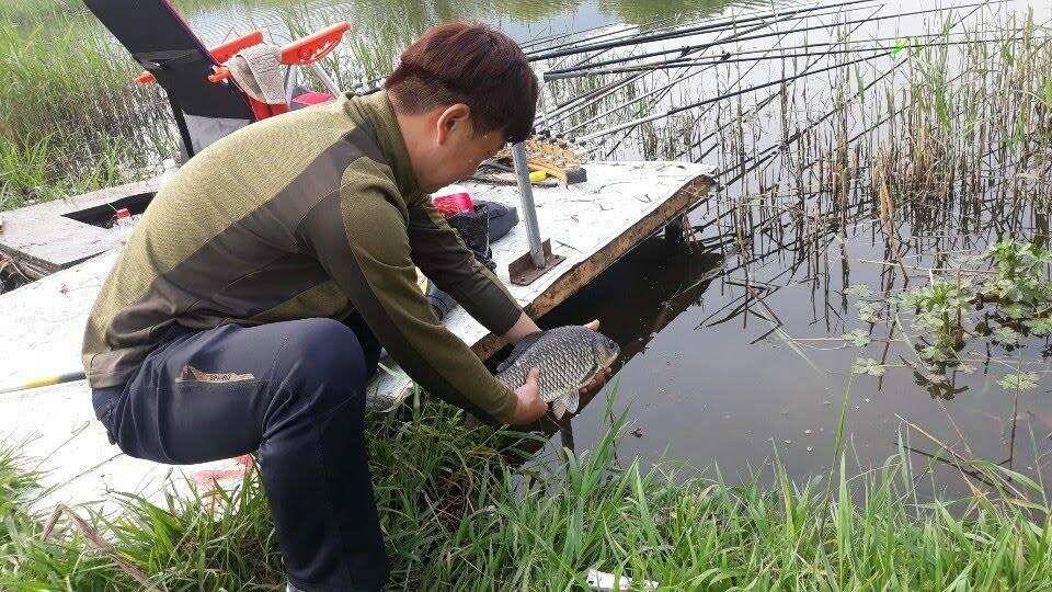 아산 안골지 4짜 소식 연속입니다 (유료터정보 - 유료터점주조황)