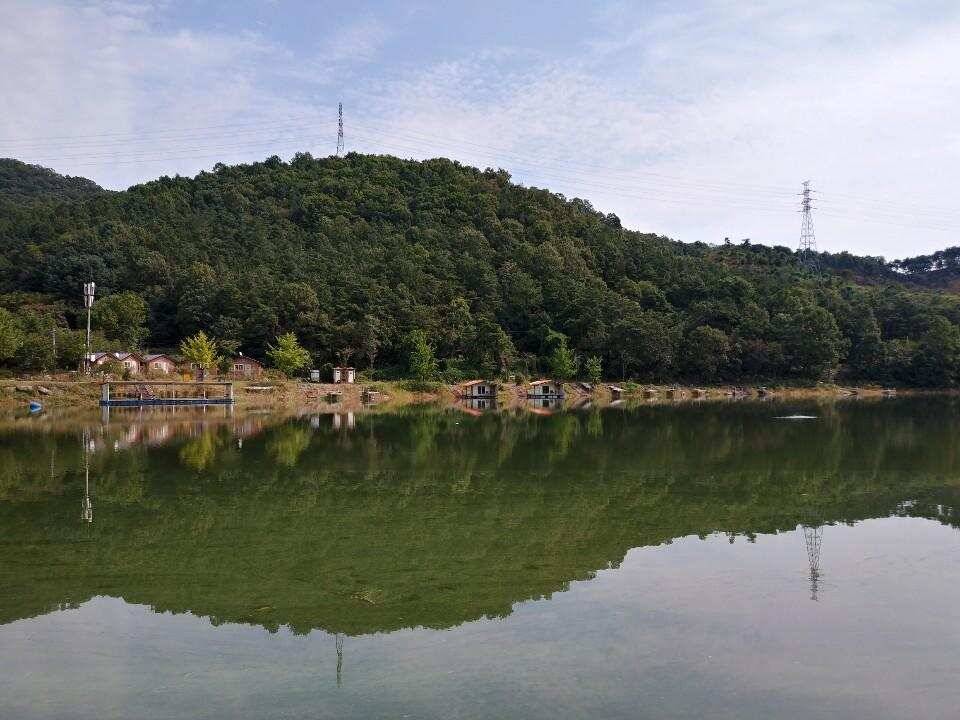 양평 수곡낚시터 9월28 오늘도 고르게 좋은 조황이 이어지고 있네요 오늘 붕어방류 완료하였습니다 (유료터정보 - 유료터점주조황)