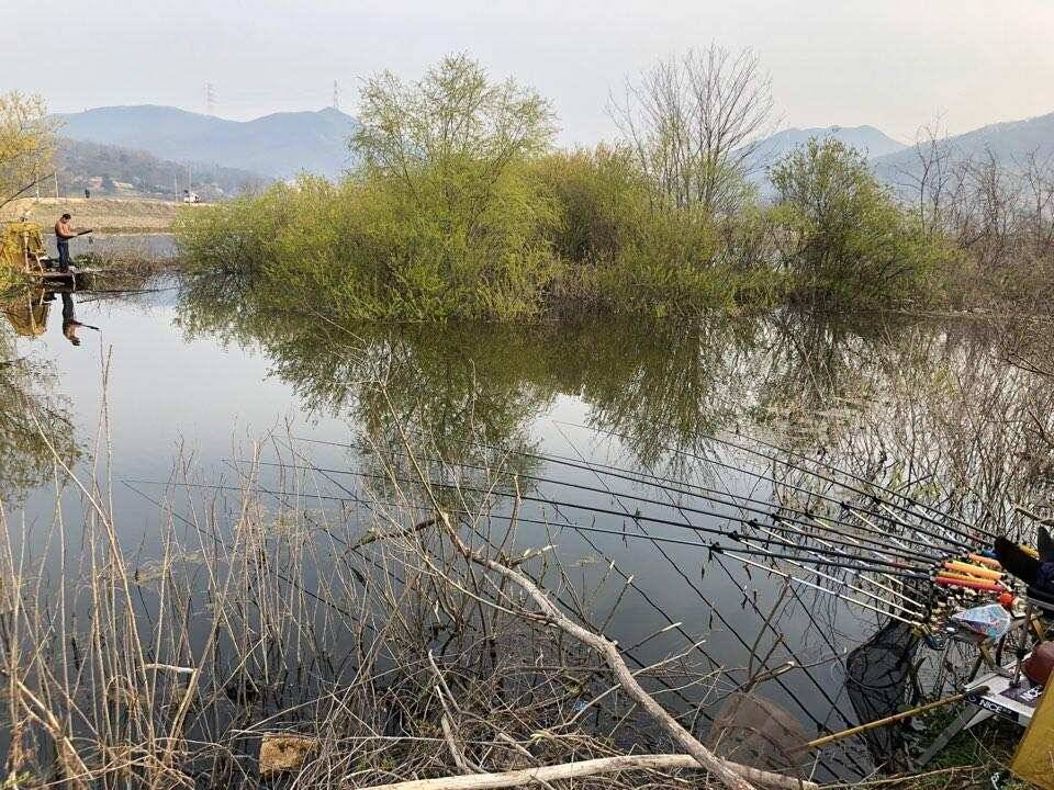 고삼지 상류권 덩어리 행진중 (유료터정보 - 유료터점주조황)