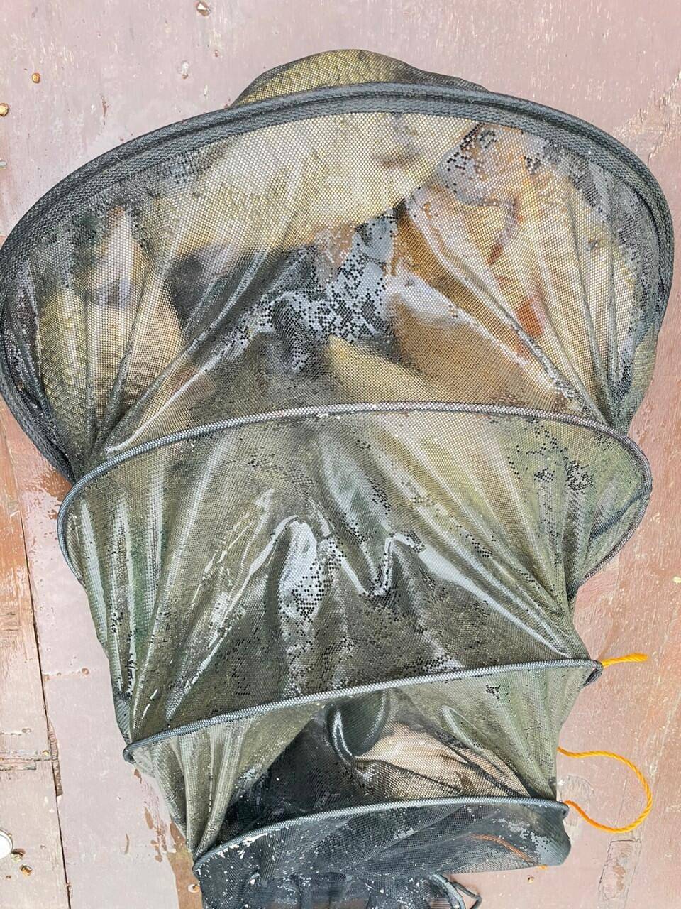 경주 동산낚시터붕어 전용잡이터개장했습니다 (유료터정보 - 유료터점주조황)