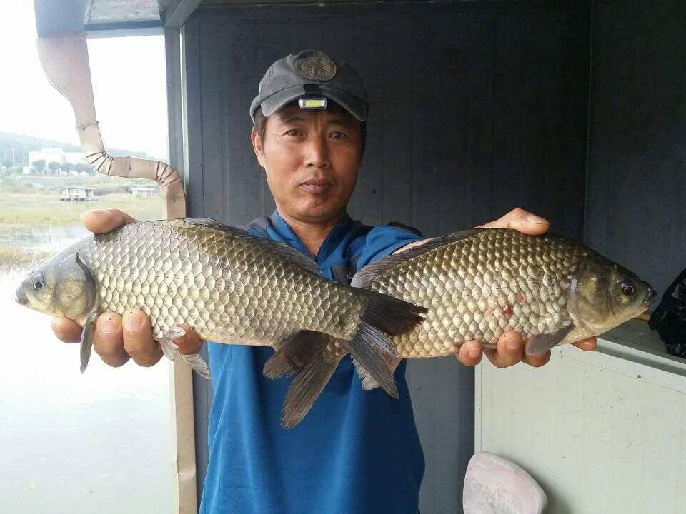 송전지서울좌대10월14일조황 (유료터정보 - 유료터점주조황)