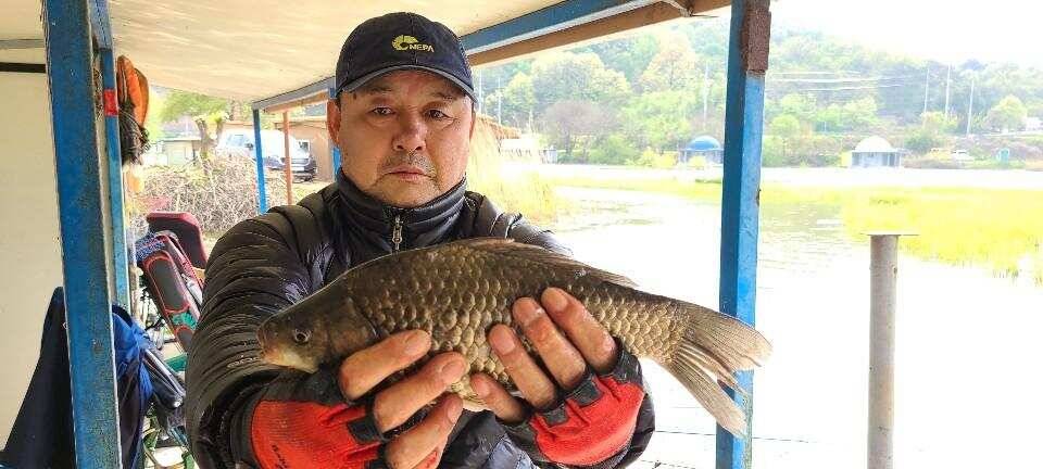 당진 가교리 낚시터 5월 5일 조황입니다 (유료터정보 - 유료터점주조황)