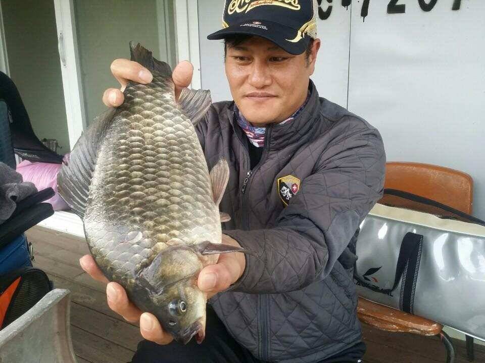 송전지서울좌대10월23일조황 (유료터정보 - 유료터점주조황)