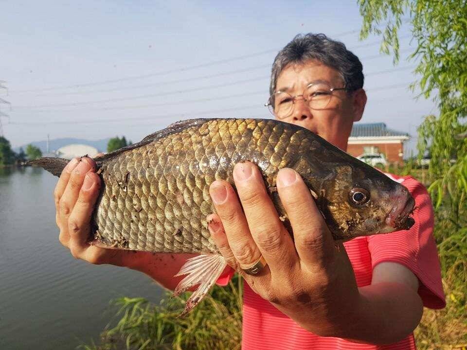 ◎주말 무료이용권 11장 대물잔치◎ (유료터정보 - 유료터점주조황)