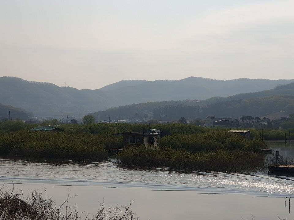 배수전 고삼지 최상류권 포인트에서 기록갱신 도전해보세요 (유료터정보 - 유료터점주조황)