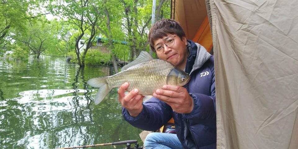 예당저수지 대양좌대 2020년 04월 30일 05월 01일 금일조황 (유료터정보 - 유료터점주조황)