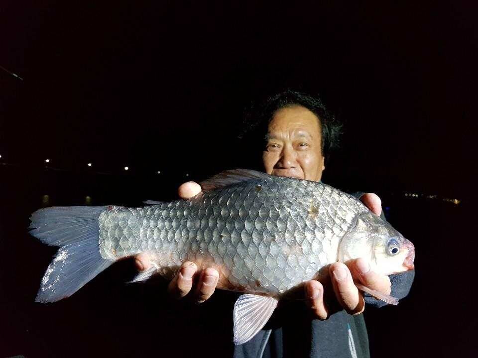 ◎ 토종 45cm 대박어망 ◎ (유료터정보 - 유료터점주조황)