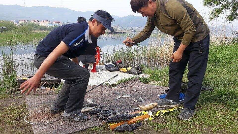 아산 안골지 4짜 소식 연속입니다 (유료터정보 - 유료터점주조황)