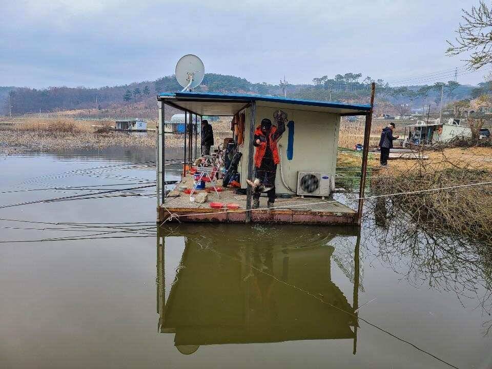 당진 가교리 낚시터 3월 30일 조황입니다 (유료터정보 - 유료터점주조황)