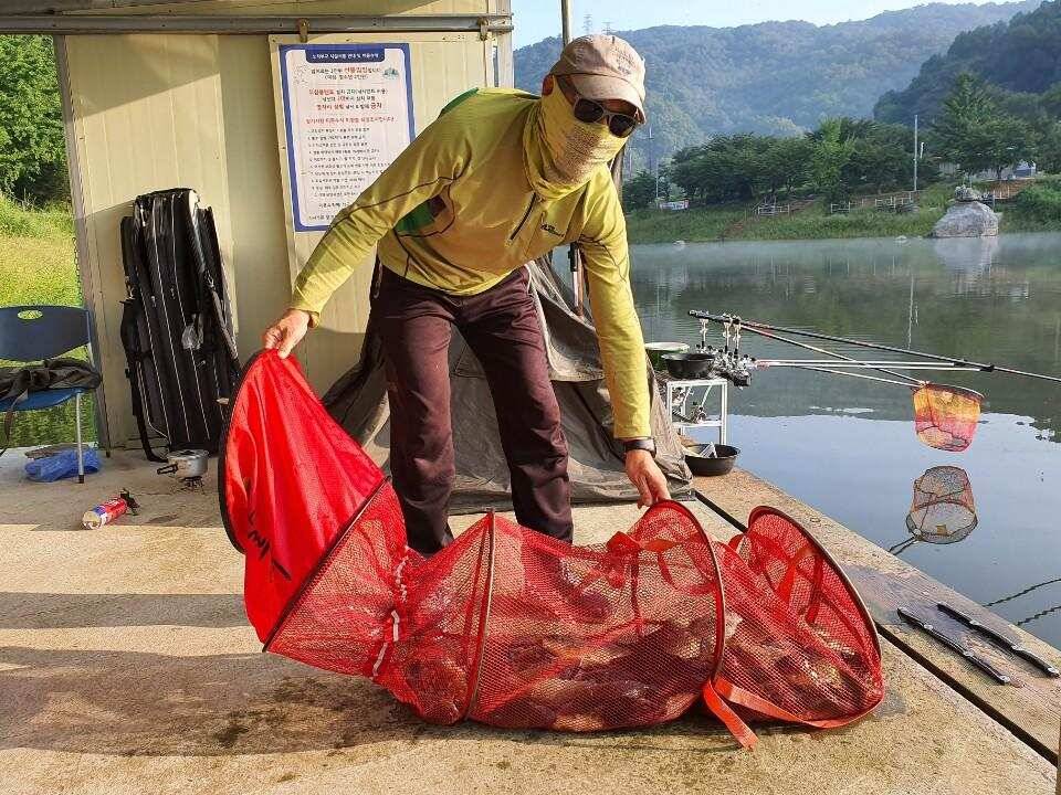 양평 수곡낚시터 주말 및 일요일 조황 소식 (유료터정보 - 유료터점주조황)