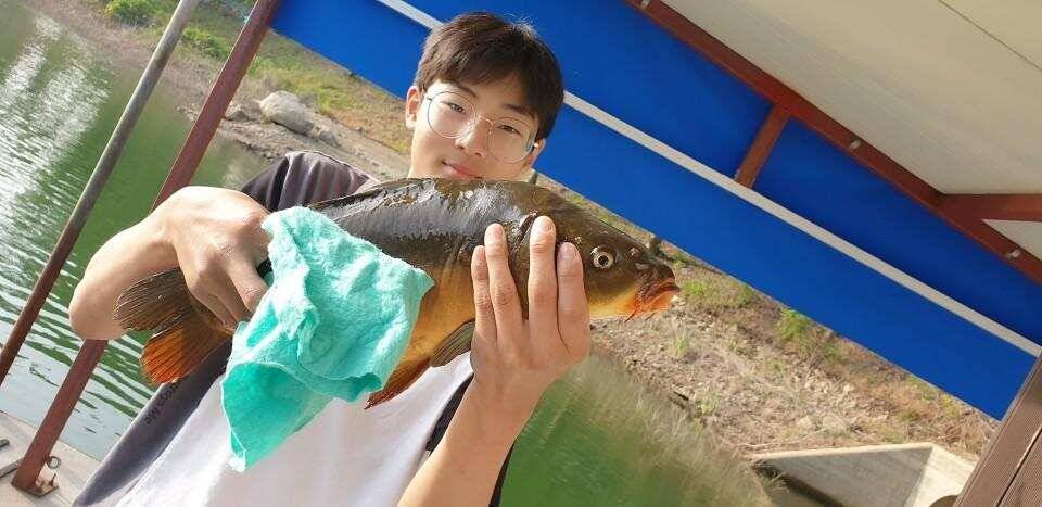 공주 고성낚시터 입니다 (유료터정보 - 유료터점주조황)