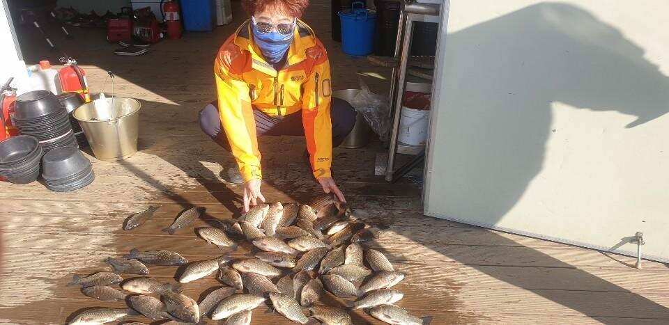 고삼지 상류권 중류권 대박 조황입니다 (유료터정보 - 유료터점주조황)