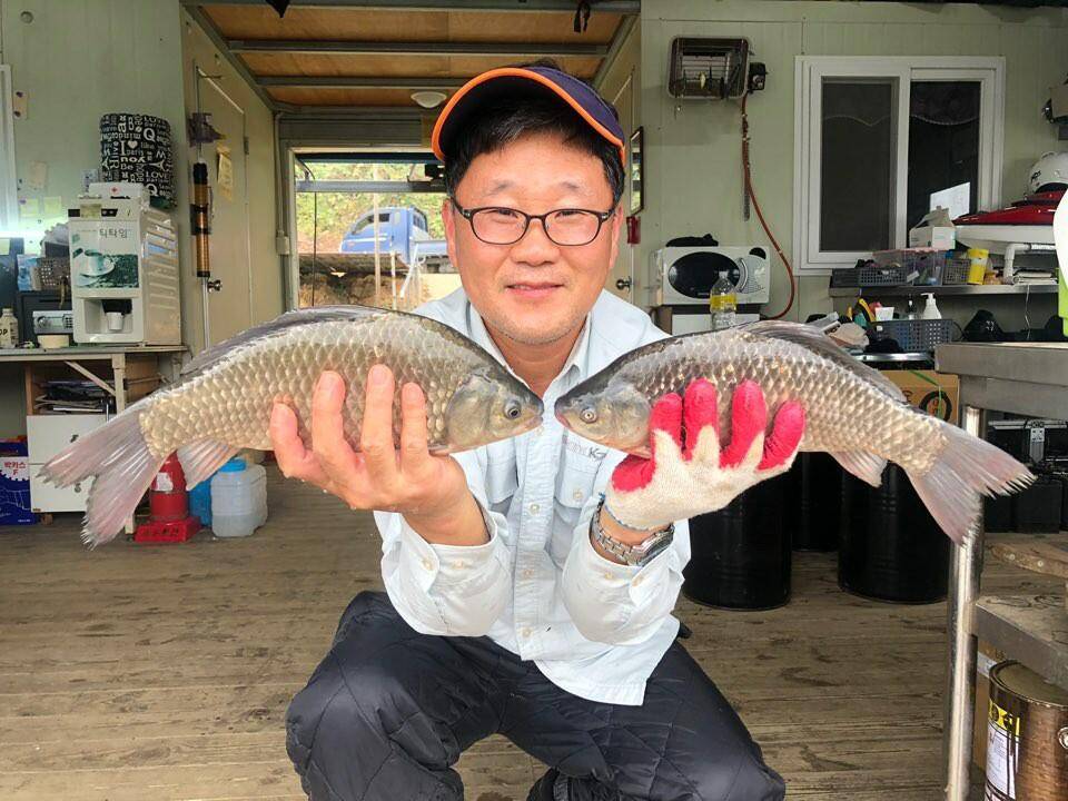 고삼지 상류권 꾸준한 붕어조황입니다 (유료터정보 - 유료터점주조황)
