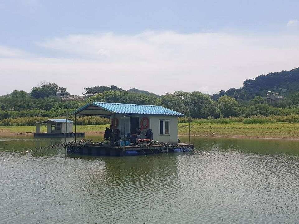 고삼지 덩어리 마리수 조황입니다 (유료터정보 - 유료터점주조황)
