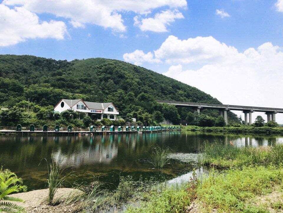 경주 삼괴정낚시터 530일 이번주 조황상황 및 홍보입니다 (유료터정보 - 유료터점주조황)