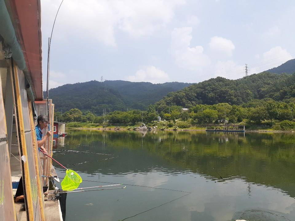 피서 양평낚시터 힐링 수곡낚시터 목요일 대박조황 이네요 (유료터정보 - 유료터점주조황)