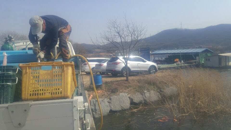 아산 안골지 조황정보입니다 (유료터정보 - 유료터점주조황)