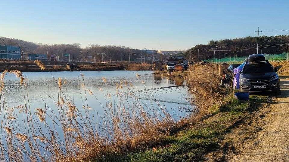 당진 가교리 낚시터 3월 25일 조황입니다 (유료터정보 - 유료터점주조황)