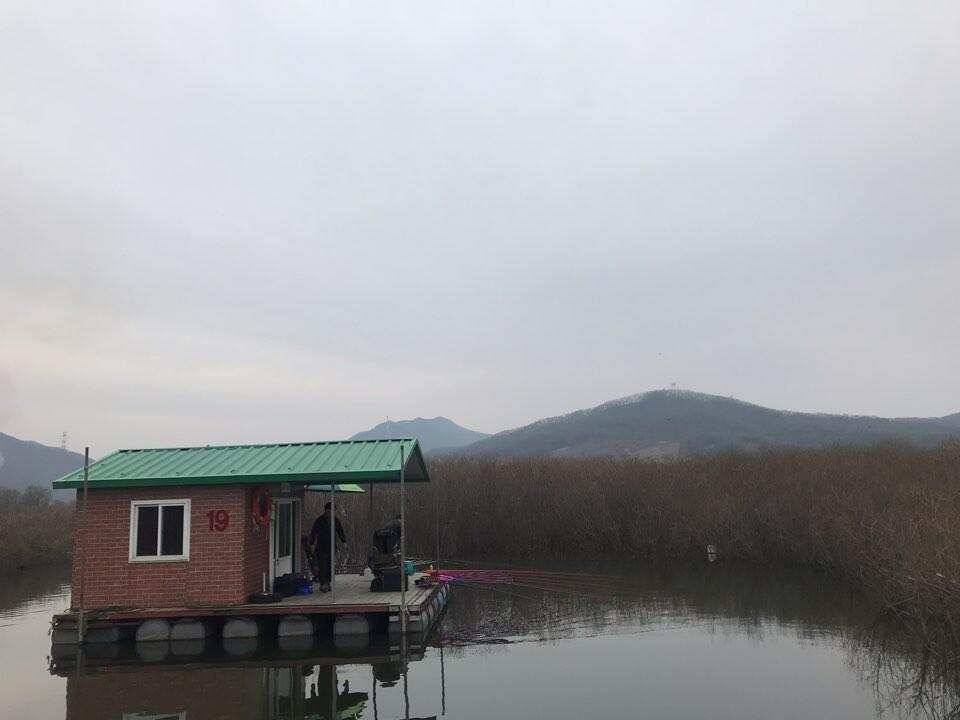 유료터정보 > 유료터점주조황 > 고삼지 상류권 최상포인트 독점 양촌좌대