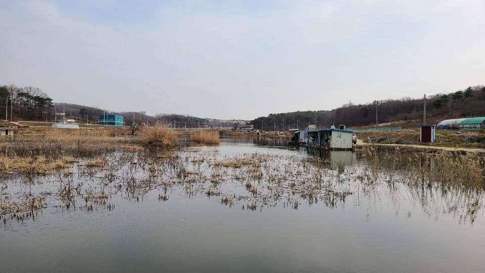 가교리 낚시터 3월 23일 조황입니다 (유료터정보 - 유료터점주조황)