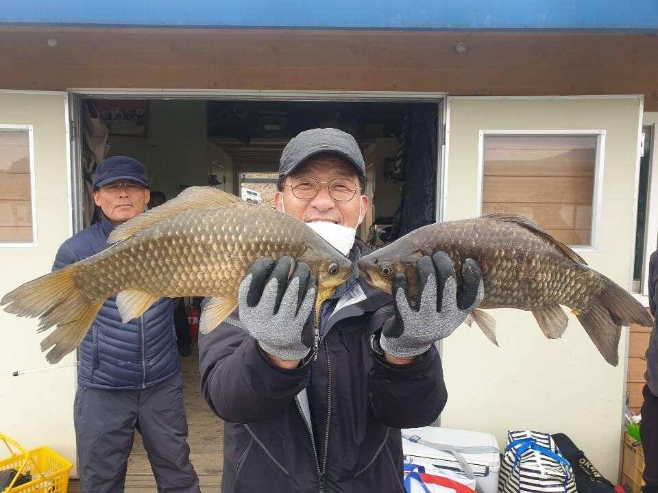고삼지 사짜붕어 하루가 멀다하게 계속 나옵니다 (유료터정보 - 유료터점주조황)