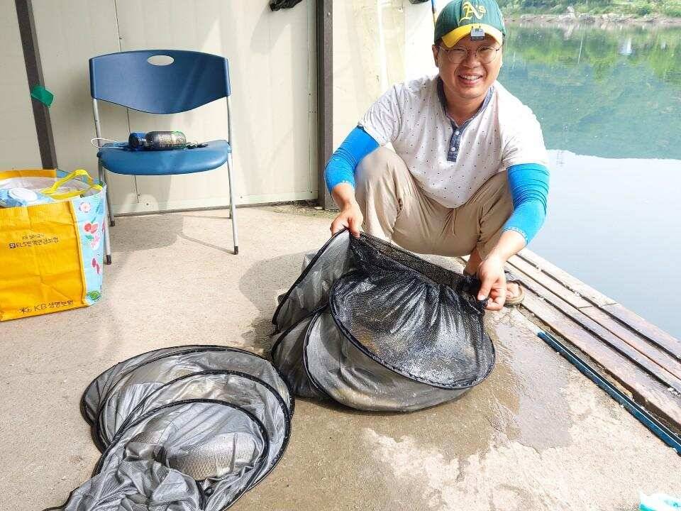 수곡낚시터 6월16일 주중 조황 및 금일 붕어 방류 완료하였습니다 (유료터정보 - 유료터점주조황)